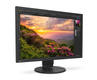 Eizo ColorEdge CS2400S ColorNavigator - 1166520 - zdjęcie 2